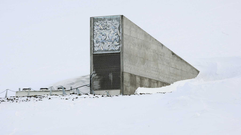 __14_000_New_Seeds_Safeguarded_in__Doomsday_Vault__to_Protect_Global_Crops