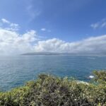 2024_s_Most_Mind_Blowing_Nature_Discoveries____