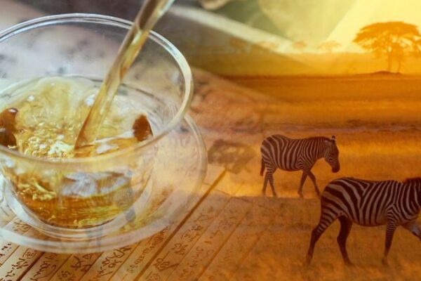 AI Brews Harmony: China & Africa Celebrate Tea Ties 🍵🌍 AI_Brews_Harmony__China___Africa_Celebrate_Tea_Ties___ video poster