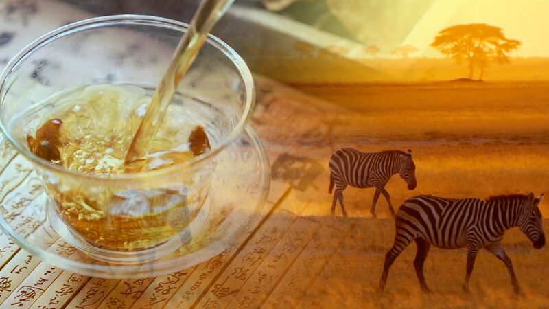 AI_Brews_Harmony__China___Africa_Celebrate_Tea_Ties____poster - 🌍NewspaperAmigo – Your Global News Buddy 🗞️ AI_Brews_Harmony__China___Africa_Celebrate_Tea_Ties___ video poster