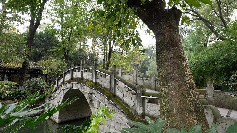 A Day in Chengdu’s People’s Park: Culture, Community & Fun! 🌳☕️🎉 A_Day_in_Chengdu_s_People_s_Park__Culture__Community___Fun______ video poster