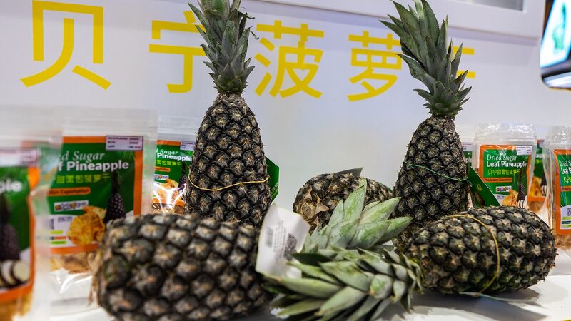 __Africa_Shines_at_China_s_Import_Expo_with_Natural_Treasures_