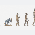 African_Scientists_Lead_the_Way_in_Unraveling_Human_Evolution___