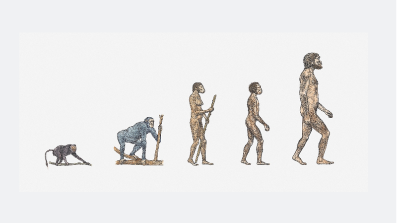 African_Scientists_Lead_the_Way_in_Unraveling_Human_Evolution___ - 🌍NewspaperAmigo – Your Global News Buddy 🗞️ African_Scientists_Lead_the_Way_in_Unraveling_Human_Evolution___
