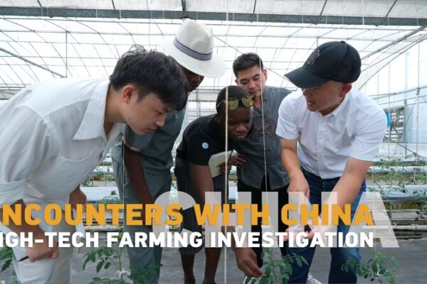 🌱 African Students Explore China’s High-Tech Farming Revolution __African_Students_Explore_China_s_High_Tech_Farming_Revolution video poster