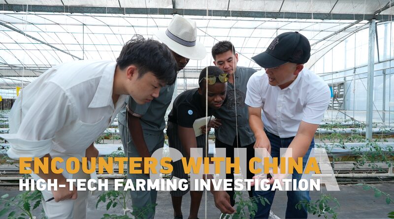 __African_Students_Explore_China_s_High_Tech_Farming_Revolution video poster