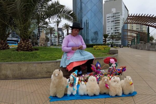 Alpacas: Peru’s Cultural and Economic Treasures 🦙✨ Alpacas__Peru_s_Cultural_and_Economic_Treasures___ video poster