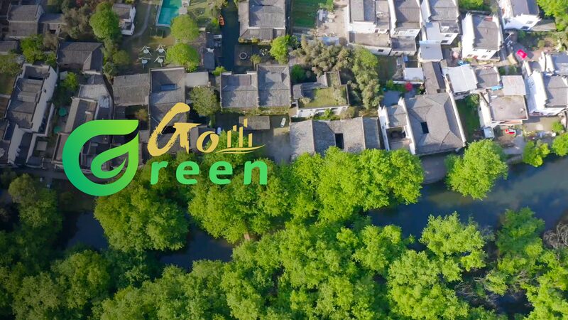 Ancient_Chinese_Village_Thrives_With_Eco_Friendly_Water_Magic____poster - 🌍NewspaperAmigo – Your Global News Buddy 🗞️ Ancient_Chinese_Village_Thrives_With_Eco_Friendly_Water_Magic___ video poster