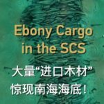 Ancient_Ebony_Treasure_Unearthed_in_South_China_Sea___ video poster