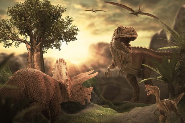 Ancient_Extinction_Mystery_Solved_by_Chinese_Scientists___