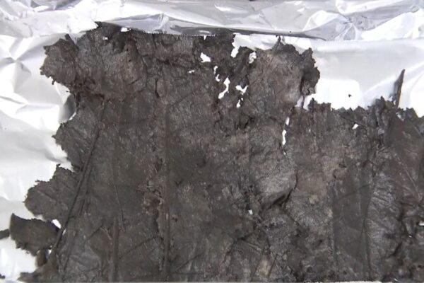 Ancient Leaves Found in 2,200-Year-Old Chinese Tomb 🍃🏺 Ancient_Leaves_Found_in_2_200_Year_Old_Chinese_Tomb___ video poster