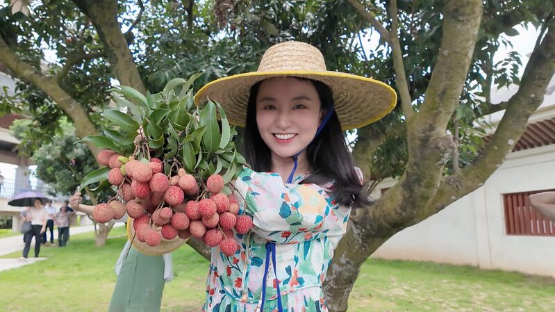 Ancient_Litchi_Orchard_in_China_s_Maoming_Bears_Fruit_and_Millions____poster - 🌍NewspaperAmigo – Your Global News Buddy 🗞️ Ancient_Litchi_Orchard_in_China_s_Maoming_Bears_Fruit_and_Millions___ video poster