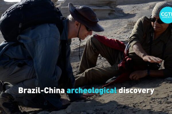 ___Ancient_Skies_Rewritten__Brazil_China_Team_Unveils_New_Pterosaur_Species_ video poster