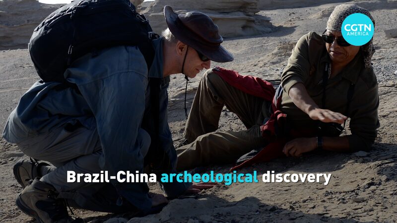 Ancient_Skies_Rewritten__Brazil_China_Team_Unveils_New_Pterosaur_Species__poster - 🌍NewspaperAmigo – Your Global News Buddy 🗞️ ___Ancient_Skies_Rewritten__Brazil_China_Team_Unveils_New_Pterosaur_Species_ video poster