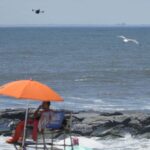 Angry_Birds_vs__Drones__NYC_Beach_Patrol_Faces_Feathered_Fury____