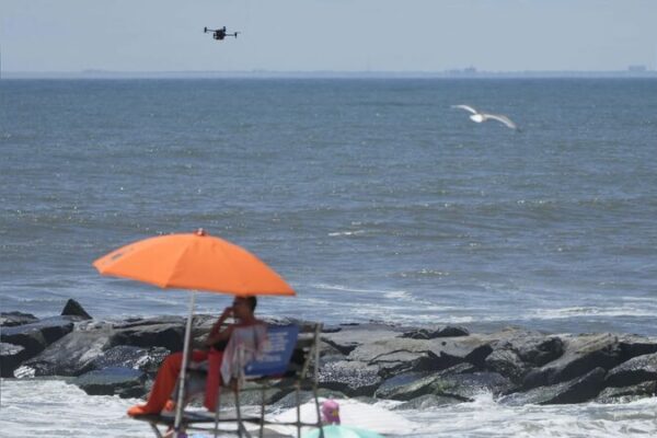 Angry Birds vs. Drones: NYC Beach Patrol Faces Feathered Fury 🐦✈️ Angry_Birds_vs__Drones__NYC_Beach_Patrol_Faces_Feathered_Fury____