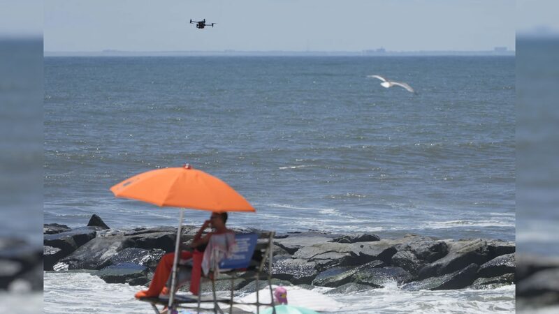 Angry_Birds_vs__Drones__NYC_Beach_Patrol_Faces_Feathered_Fury____