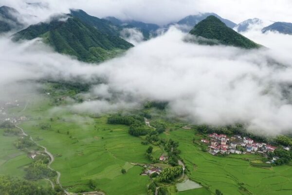 Anhui’s Summer Solstice Magic: Terraced Fields & Cloud Seas 🌾☁️ Anhui_s_Summer_Solstice_Magic__Terraced_Fields___Cloud_Seas____ video poster