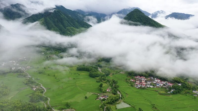 Anhui_s_Summer_Solstice_Magic__Terraced_Fields___Cloud_Seas_____poster - 🌍NewspaperAmigo – Your Global News Buddy 🗞️ Anhui_s_Summer_Solstice_Magic__Terraced_Fields___Cloud_Seas____ video poster
