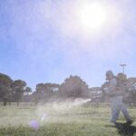 Argentina_Reports_527K_Dengue_Cases_in_2024___