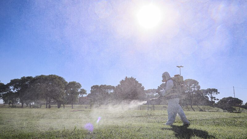 Argentina_Reports_527K_Dengue_Cases_in_2024___ - 🌍NewspaperAmigo – Your Global News Buddy 🗞️ Argentina_Reports_527K_Dengue_Cases_in_2024___