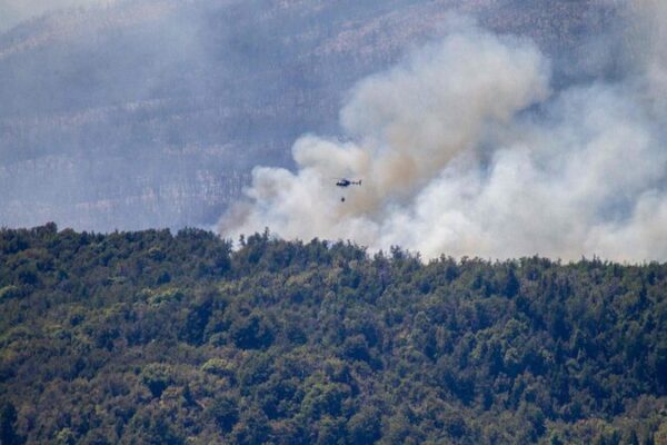 Argentina’s UNESCO Park Fire: Arson Confirmed 🔥🌳 Argentina_s_UNESCO_Park_Fire__Arson_Confirmed___