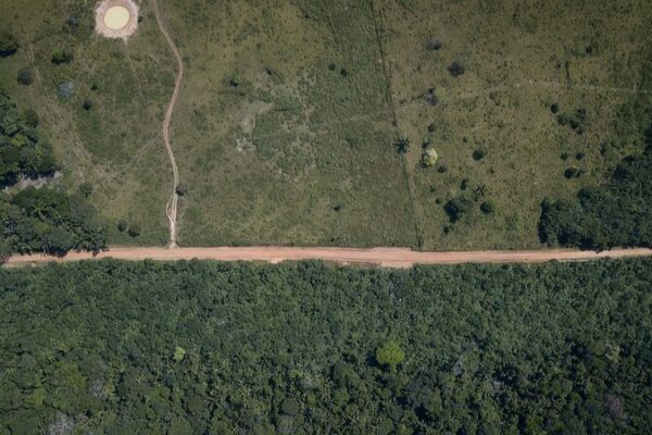 Armed Groups Threaten Colombia’s Amazon 🌳🛑 Report Reveals Armed_Groups_Threaten_Colombia_s_Amazon____Report_Reveals