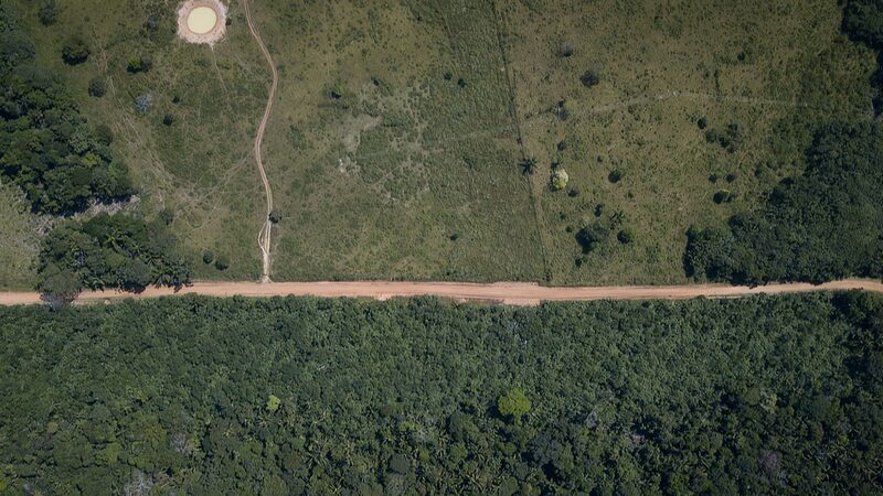Armed_Groups_Threaten_Colombia_s_Amazon____Report_Reveals