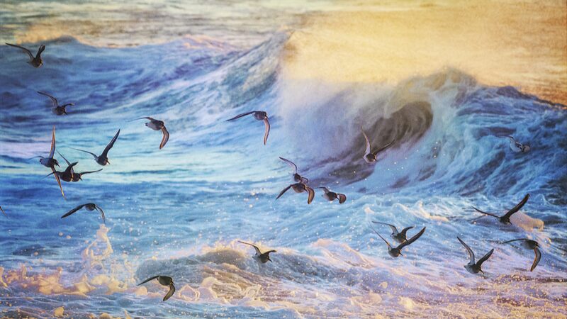 Atlantic_Ocean_Currents_Near_Collapse__Threatening_Global_Weather_Chaos - 🌍NewspaperAmigo – Your Global News Buddy 🗞️ __Atlantic_Ocean_Currents_Near_Collapse__Threatening_Global_Weather_Chaos