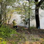 Australia_Battles_Scorching_Heat_Wave_Amid__Extreme__Bushfire_Alerts___