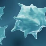 Australian_Scientists_Discover_Game_Changing_Cells_for_Tissue_Repair__