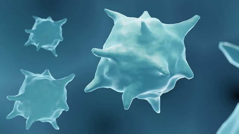 Australian_Scientists_Discover_Game_Changing_Cells_for_Tissue_Repair__