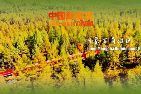 Autumn Bliss: Exploring Moerdaoga’s Vibrant Forest in Inner Mongolia 🍁🚂 Autumn_Bliss__Exploring_Moerdaoga_s_Vibrant_Forest_in_Inner_Mongolia___ video poster