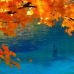 Autumn_Magic_in_Jiuzhaigou__Nature_s_Palette___High_Speed_Rail___ video poster