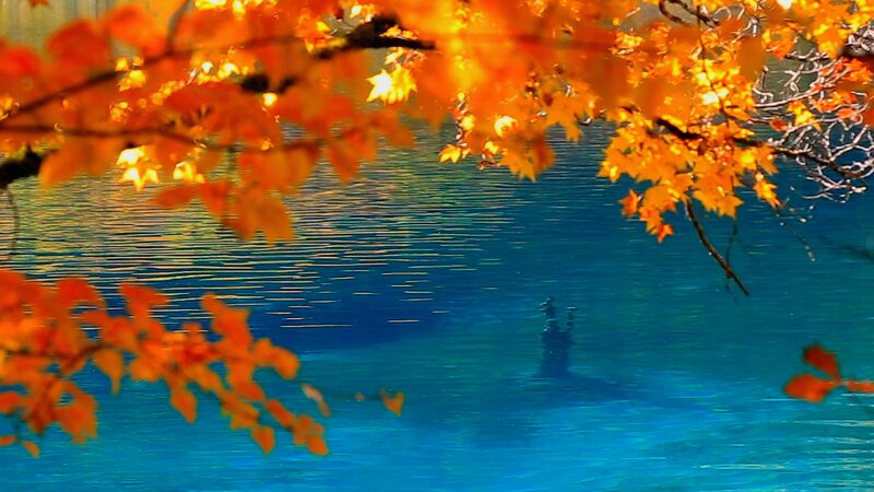 Autumn_Magic_in_Jiuzhaigou__Nature_s_Palette___High_Speed_Rail____poster - 🌍NewspaperAmigo – Your Global News Buddy 🗞️ Autumn_Magic_in_Jiuzhaigou__Nature_s_Palette___High_Speed_Rail___ video poster