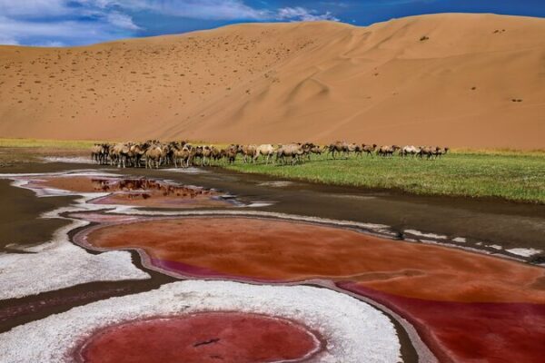 Badain Jaran Desert: UNESCO’s Newest Wonder of Lakes & Dunes 🌍🏜️ Badain_Jaran_Desert__UNESCO_s_Newest_Wonder_of_Lakes___Dunes____