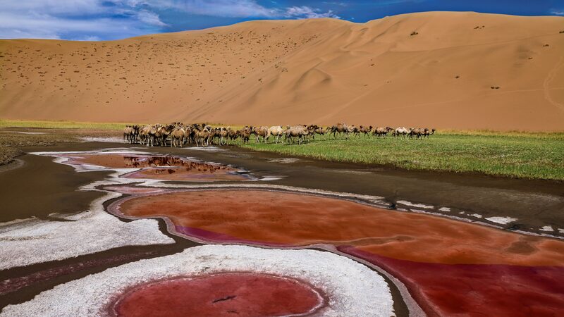 Badain_Jaran_Desert__UNESCO_s_Newest_Wonder_of_Lakes___Dunes____