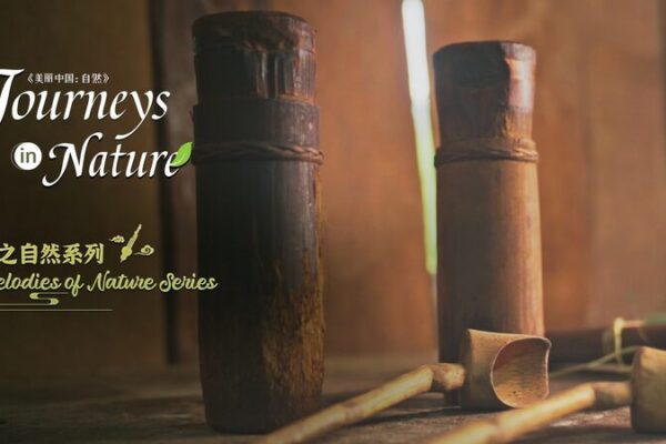 🌿 Bamboo Beats: Discover the Jinuo People’s Musical Connection to Nature 🎶 __Bamboo_Beats__Discover_the_Jinuo_People_s_Musical_Connection_to_Nature__ video poster