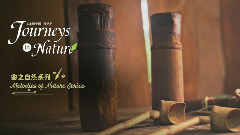 Bamboo_Beats__Discover_the_Jinuo_People_s_Musical_Connection_to_Nature___poster - 🌍NewspaperAmigo – Your Global News Buddy 🗞️ __Bamboo_Beats__Discover_the_Jinuo_People_s_Musical_Connection_to_Nature__ video poster