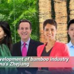 Bamboo_Boom__How_Anji_s_Green_Gold_is_Shaping_China_s_Future___ video poster