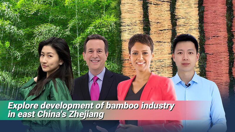 Bamboo_Boom__How_Anji_s_Green_Gold_is_Shaping_China_s_Future____poster - 🌍NewspaperAmigo – Your Global News Buddy 🗞️ Bamboo_Boom__How_Anji_s_Green_Gold_is_Shaping_China_s_Future___ video poster