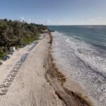 Barbados_Battles_Seaweed_Invasion_Threatening_Tourism___Fish___ video poster