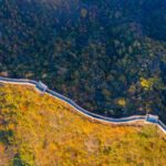 Beijing_Aims_for_45__Forest_Coverage_by_2025____