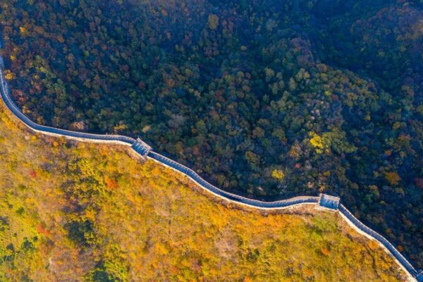 Beijing Aims for 45% Forest Coverage by 2025 🌳🏙️ Beijing_Aims_for_45__Forest_Coverage_by_2025____