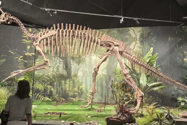 🦕 Beijing Dinosaur Exhibit Reveals China’s Fossil Wonders! __Beijing_Dinosaur_Exhibit_Reveals_China_s_Fossil_Wonders_