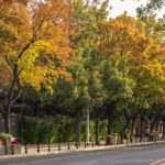 Beijing_Goes_Green__Parks_Within_500_Meters_for_91__Residents____