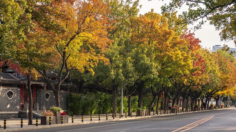 Beijing_Goes_Green__Parks_Within_500_Meters_for_91__Residents____ - 🌍NewspaperAmigo – Your Global News Buddy 🗞️ Beijing_Goes_Green__Parks_Within_500_Meters_for_91__Residents____