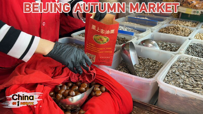 Beijing_s_Autumn_Markets_Bloom_for_World_Food_Day____poster - 🌍NewspaperAmigo – Your Global News Buddy 🗞️ Beijing_s_Autumn_Markets_Bloom_for_World_Food_Day___ video poster
