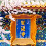 __Beijing_s_Beihai_Park_Blooms_into_a_Pink_Wonderland_