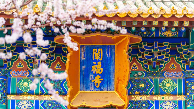 __Beijing_s_Beihai_Park_Blooms_into_a_Pink_Wonderland_